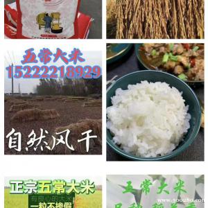 2024年五常稻花香2號(hào)新米上市